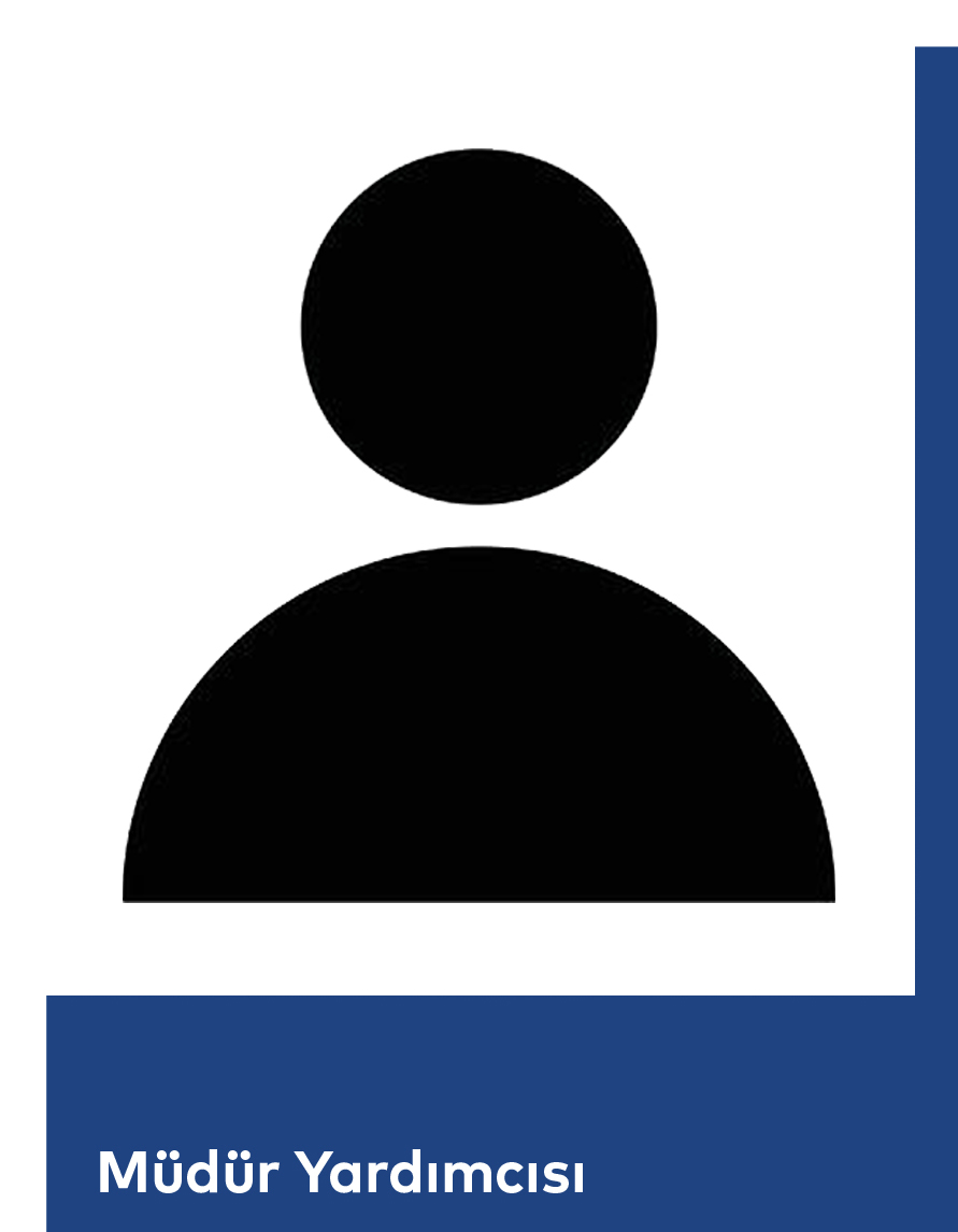 Müdür Yardımcısı